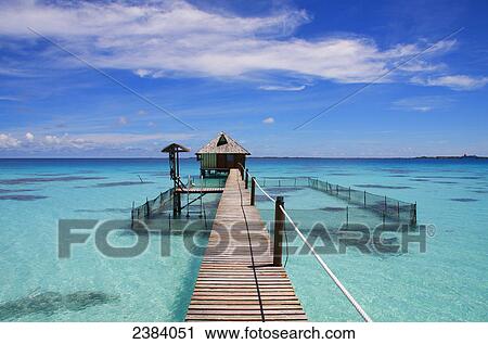 Jetty in shallow water, Tuamotu Archipelago, French Polynesia, Polynesia, Pacific Island View Large Photo Image Stock Image - Jetty in shallow water, Tuamotu Archipelago, French Polynesia, Polynesia, Pacific Island . Fotosearch