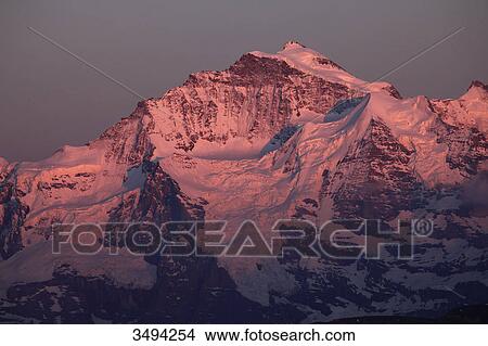 Picture - Jungrau at sundodwn, Swiss Alps, Switzerland, Europe . Fotosearch