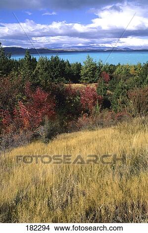 Landscape with lake in background, Lake Pukaki, Waitaki District, Otago Region, South Island New Zealand, New Zealand View Large Photo Image Picture - Landscape with lake in background, Lake Pukaki, Waitaki District, Otago Region, South Island New Zealand, New Zealand . Fotosearch