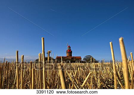 Lighthouse and stubble field, Bastorf, Mecklenburg-Western Pomerania, Germany View Large Photo Image Stock Image - Lighthouse and stubble field, Bastorf, Mecklenburg-Western Pomerania, Germany . Fotosearch