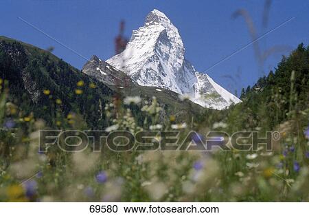 Low angle view of a snowcovered mountain peak, Matterhorn, Zermatt, Switzerland View Large Photo Image Stock Image - Low angle view of a snowcovered mountain peak, Matterhorn, Zermatt, Switzerland . Fotosearch