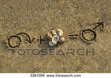 Stock Photo - Male symbol and oyster . Fotosearch