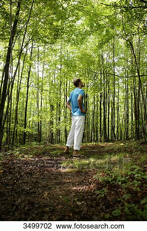 Man standing in a forest, low angle view View Large Photo Image Stock Image - Man standing in a forest, low angle view . Fotosearch