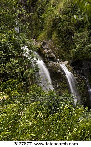 Stock Photo - Maui, Hawaii, USA . Fotosearch