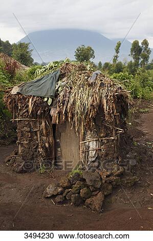 Stock Image - Mud hut in pygmy village, Uganda, East Africa, Africa . Fotosearch