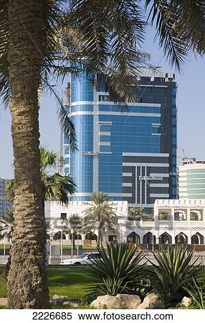 Palm tee with buildings in city, Doha, Qatar View Large Photo Image Stock Photography - Palm tee with buildings in city, Doha, Qatar . Fotosearch