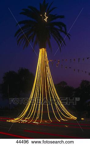 Palm tree lit up on street at dusk, Athens, Greece View Large Photo Image Stock Photograph - Palm tree lit up on street at dusk, Athens, Greece . Fotosearch