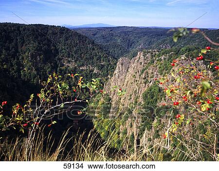 Panoramic view of a mountain range, Brocken, Braunlage, Lower Saxony, Germany View Large Photo Image Picture - Panoramic view of a mountain range, Brocken, Braunlage, Lower Saxony, Germany . Fotosearch
