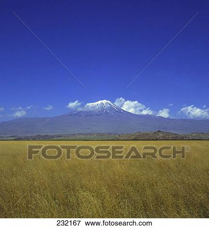 Panoramic view of field with mountain in background, Mt Ararat, Turkey View Large Photo Image Stock Photo - Panoramic view of field with mountain in background, Mt Ararat, Turkey . Fotosearch