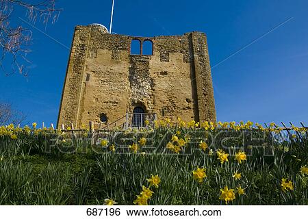 Stock Photograph - Park with old castle in background, Guildford, Surrey, England . Fotosearch