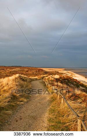 Path on dunes at a coast, Braderuper Heide, Sylt, Germany View Large Photo Image Stock Photograph - Path on dunes at a coast, Braderuper Heide, Sylt, Germany . Fotosearch