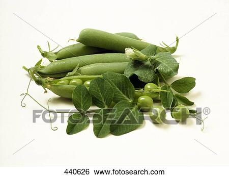 peas, full shot View Large Photo Image Stock Photograph - peas, full shot . Fotosearch