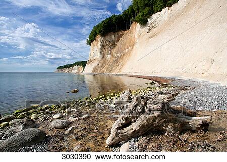 Stock Image - Pebble beach at the chalk cliff of Jasmund, Rugia, Germany . Fotosearch