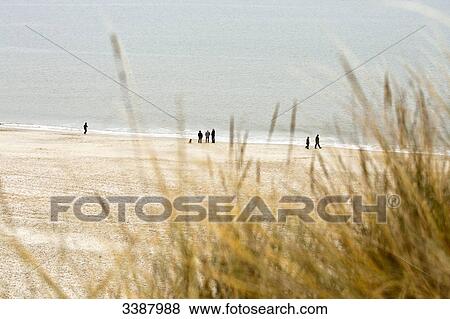 People on the beach in Kampen, Sylt, Germany, elevated view View Large Photo Image Stock Photo - People on the beach in Kampen, Sylt, Germany, elevated view . Fotosearch