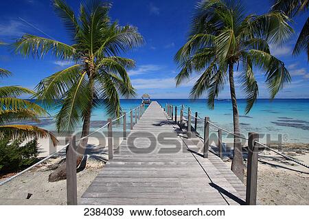 Pier and palm trees on beach, Maitai Dream Hotel, Fakarava, Tuamotu Archipelago, French Polynesia, Polynesia, Pacific Island View Large Photo Image Stock Photo - Pier and palm trees on beach, Maitai Dream Hotel, Fakarava, Tuamotu Archipelago, French Polynesia, Polynesia, Pacific Island . Fotosearch