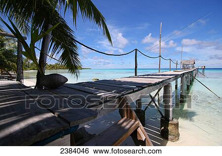 Pier and palm trees on beach, Tuamotu Archipelago, French Polynesia, Polynesia, Pacific Island View Large Photo Image Stock Photograph - Pier and palm trees on beach, Tuamotu Archipelago, French Polynesia, Polynesia, Pacific Island . Fotosearch
