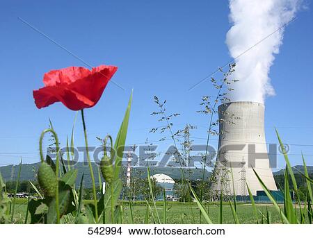 Poppy plant in front of nuclear reactor, Goesgen Nuclear Power Plant, Daniken, Solothurn, Switzerland View Large Photo Image Picture - Poppy plant in front of nuclear reactor, Goesgen Nuclear Power Plant, Daniken, Solothurn, Switzerland . Fotosearch