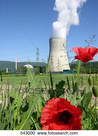 Poppy plant in front of nuclear reactor, Goesgen Nuclear Power Plant, Daniken, Solothurn, Switzerland View Large Photo Image Stock Image - Poppy plant in front of nuclear reactor, Goesgen Nuclear Power Plant, Daniken, Solothurn, Switzerland . Fotosearch
