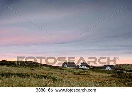 Stock Photography - Reed-thatched houses in the dunes of Kampen, Sylt, Germany . Fotosearch
