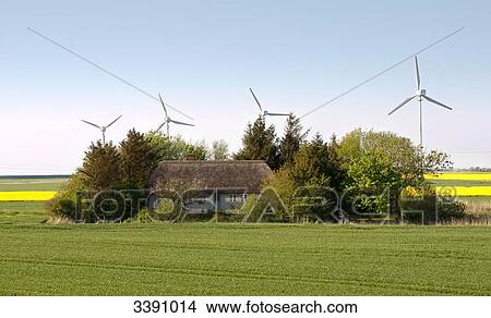 Reetdachhaus and windmills, Schleswig-Holstein, Germany View Large Photo Image Picture - Reetdachhaus and windmills, Schleswig-Holstein, Germany . Fotosearch