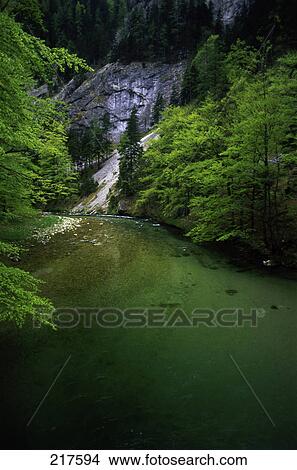River flowing through forest, Salza River, Styrian Salza, Austria View Large Photo Image Picture - River flowing through forest, Salza River, Styrian Salza, Austria . Fotosearch