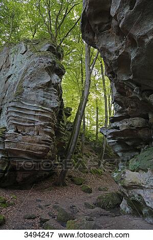 Rock and forest, German Luxembourgian Nature Park, Europe View Large Photo Image Stock Photo - Rock and forest, German Luxembourgian Nature Park, Europe . Fotosearch