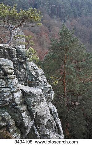 Rock and forest, German Luxemburg Natur Park, Luxembourg, Europe View Large Photo Image Stock Photo - Rock and forest, German Luxemburg Natur Park, Luxembourg, Europe . Fotosearch