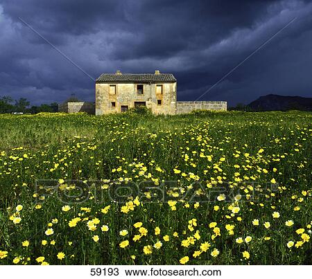 Stock Image - Ruined farmhouse behind meadow, Majorca, Spain, Europe . Fotosearch
