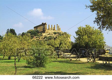 Ruins of temple, Temple Of Hera, Agrigento, Sicily, Italy View Large Photo Image Stock Image - Ruins of temple, Temple Of Hera, Agrigento, Sicily, Italy . Fotosearch
