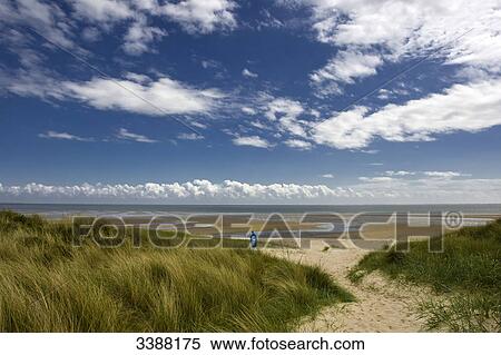 Sandy path through dunes at the North Sea, Sylt, Germany View Large Photo Image Stock Photography - Sandy path through dunes at the North Sea, Sylt, Germany . Fotosearch