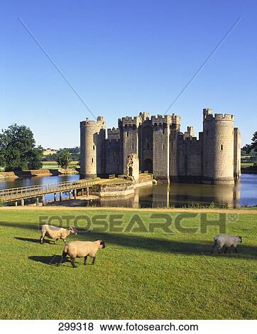 Sheep in front of castle, Bodiam Castle, Sussex, England View Large Photo Image Stock Photo - Sheep in front of castle, Bodiam Castle, Sussex, England . Fotosearch