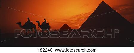 Silhouette of two people sitting on camel in desert, Cairo, Egypt View Large Photo Image Stock Image - Silhouette of two people sitting on camel in desert, Cairo, Egypt . Fotosearch