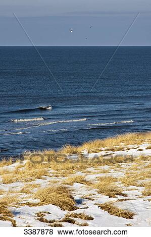 Stock Photo - Snow-covered marram grasses at a coast, Rantum, Sylt, Germany, elevated view . Fotosearch