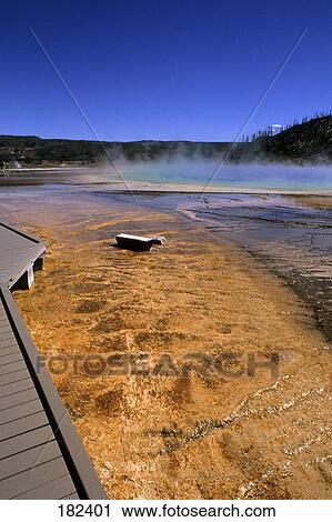 Steam emerging from hot spring, Grand Prismatic Spring, Yellowstone National Park, Wyoming, USA View Large Photo Image Stock Image - Steam emerging from hot spring, Grand Prismatic Spring, Yellowstone National Park, Wyoming, USA . Fotosearch