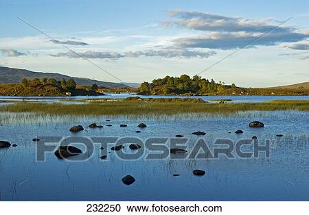 Stock Image - Stones in lake, Rannoch Moor, Highland, Scotland . Fotosearch