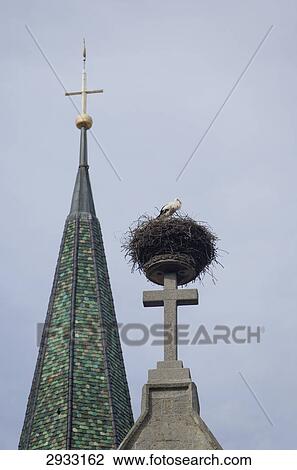 stork's nest on a stone cross, Bad Saulgau, Germany, worm's eye view View Large Photo Image Stock Image - stork's nest on a stone cross, Bad Saulgau, Germany, worm's eye view . Fotosearch