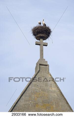 Stork's nets on a stone cross, Bad Saulgau, Germany, worm's eye view View Large Photo Image Stock Photograph - Stork's nets on a stone cross, Bad Saulgau, Germany, worm's eye view . Fotosearch