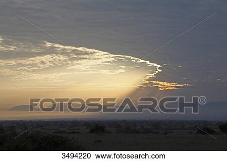 Stock Image - Sunrise at savannah, Uganda, East Africa, Africa . Fotosearch
