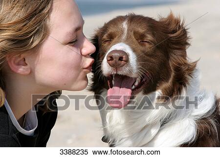 Teenage girl kissing Border Collie View Large Photo Image Stock Photography - Teenage girl kissing Border Collie . Fotosearch