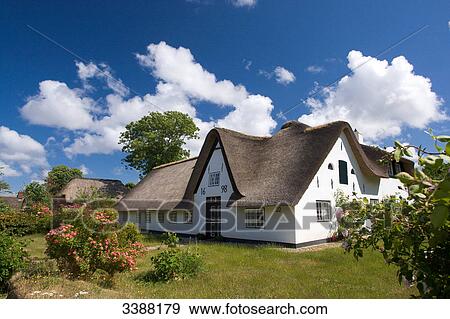 Thatched-roof house in Keitum, Sylt, Germany View Large Photo Image Stock Photo - Thatched-roof house in Keitum, Sylt, Germany . Fotosearch