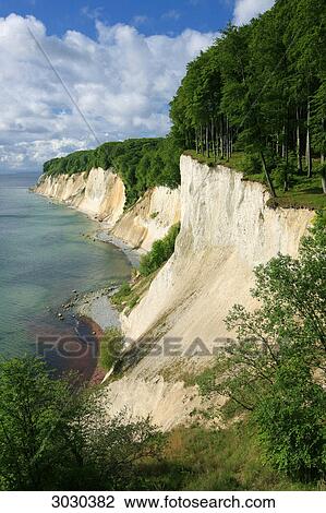 The chalk cliff of Jasmund, Rugia, Germany, elevated view View Large Photo Image Stock Image - The chalk cliff of Jasmund, Rugia, Germany, elevated view . Fotosearch