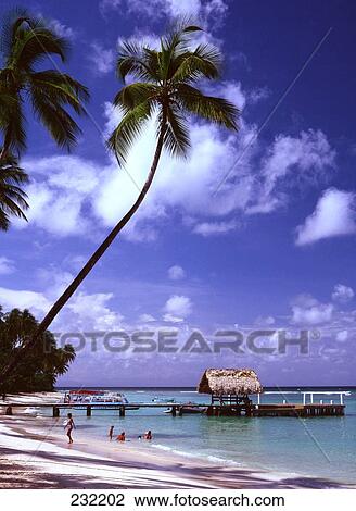 Stock Image - Tourists on beach, Pigeon Point Beach, Tobago, West Indies . Fotosearch
