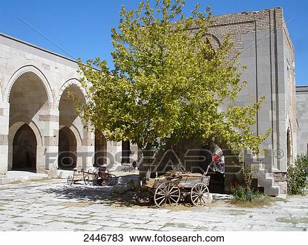 Tree in courtyard of caravanserai, Aksaray, Anatolia, Turkey View Large Photo Image Stock Image - Tree in courtyard of caravanserai, Aksaray, Anatolia, Turkey . Fotosearch