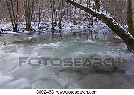 Stock Photo - Trees in winterly river Kyll, Rhineland-Palatinate, Germany . Fotosearch