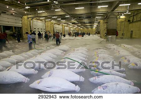 Tsukiji fishing market, Tokyo, Japan View Large Photo Image Stock Image - Tsukiji fishing market, Tokyo, Japan . Fotosearch