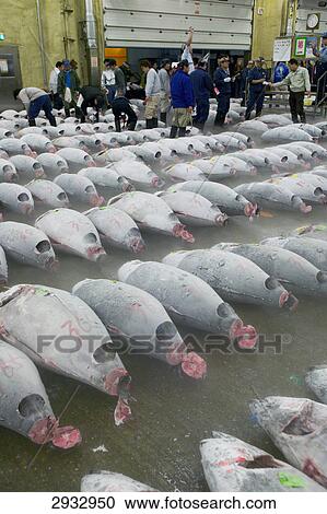 Stock Image - Tsukiji fishing market, Tokyo, Japan . Fotosearch