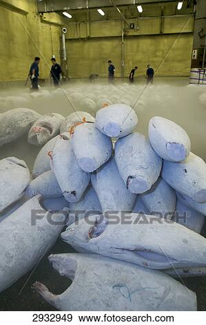 Stock Photo - Tsukiji fishing market, Tokyo, Japan . Fotosearch