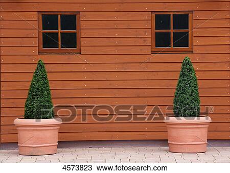 Stock Image - Two saplings in front of framehouse . Fotosearch