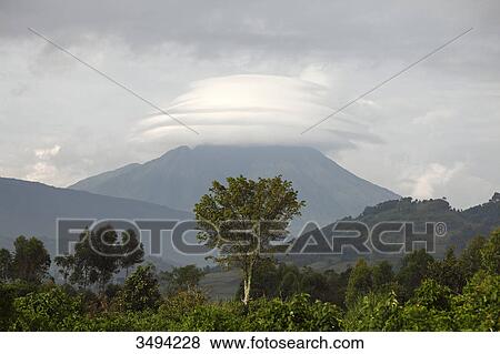 Stock Photo - Virunga Volcanoes, Uganda, East Africa, Africa . Fotosearch