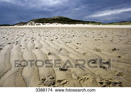 Wadden Sea at low tide, Sylt, Germany View Large Photo Image Picture - Wadden Sea at low tide, Sylt, Germany . Fotosearch